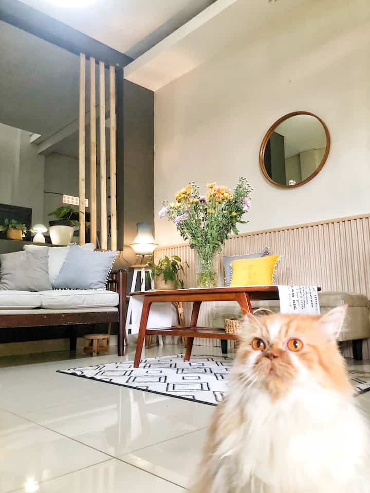 rumah ini membersamai kami sejak 2006, dan insya allah many years to come. Setelah berbulan-bulan keliling ibukota dan mantengin iklan baris, kamu jatuh hati di pandangan pertama 🥹

Yep, direnovasi dikit-dikit biar asri dan jaman. Ruang kerja di Lantai dua yang ditambahkan sejak 2021, jadi tempat ternyaman untuk semua jenis kegiatan 😀.

Dinding di kamar tidur kami bobok untuk jendela demi mendapatkan cahaya matahari dan suara air dari kolam secuprit 😁.

Tapi ter de best, renov kamar mandi super kecil gak sampai 2x2m, jadi tempat terestetik 🤣🤣

Kami tunggu yang mau mampir yaaa


#MyHomeStory #PerjalananRumahku #CeritaRumahku #Cozyhome #PlantMom #Cathouse #Decorlowbudget