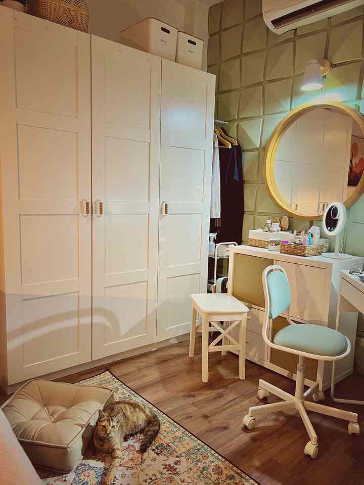 Natural color and white toned living space featuring a cat on a patterned rug, vanity table, and storage cabinet with cozy ambiance