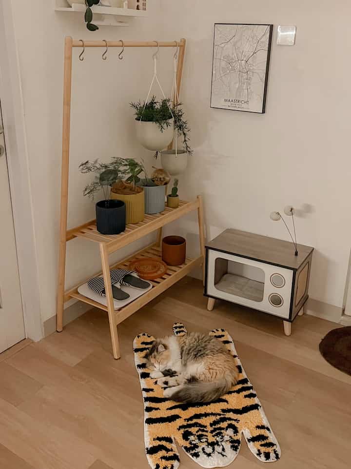 Natural wood-tone bedroom corner featuring a plant stand, pet house, and a cat resting on a tiger-pattern carpet, creating a cozy atmosphere