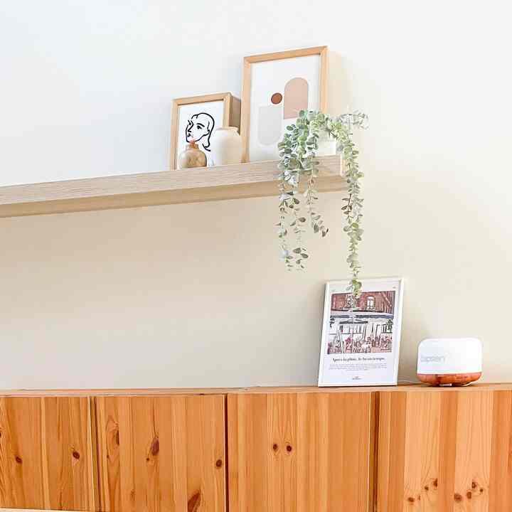 Natural color studio apartment featuring wooden cabinet, picture frames, diffuser, and plants with simple decor