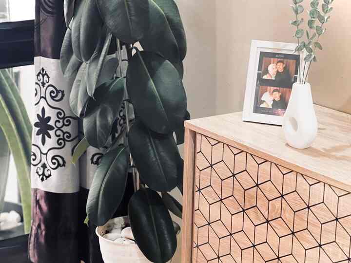 Natural brown-toned space featuring a geometric patterned cabinet, large plant, and white picture frame with vase for a cozy interior
