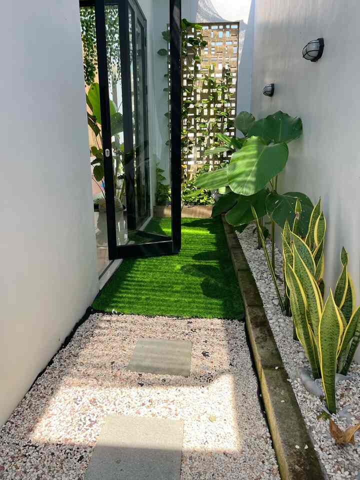 Taman kecil samping rumah

Taman ini berukuran 1x6 meter terletak di sebelah ruang makan sampai dapur
Dengan adanya taman ini sirkulasi udara dan cahaya masuk sangat baik.
Terkadang taman ini dipakai untuk bermain anak juga karena memakai rumput sintetis jadi cukup bersih.
Terdapat juga tanaman hidup seperti calathea, sansivera dan sirih gading yang mana bisa membersihkan udara sekitar serta menghasilkan oksigen.
Taman ini outdoor dan memakai paranet diatasnya agar tidak terlalu panas
Tips pakai rumput sintetis pakai drainase cells dibawahnya ya agar air tidak menggenang dirumput
#tamanoutdoor #tamansamping #garden #tamanminimalis #rumputsintetis #tipstamankecil