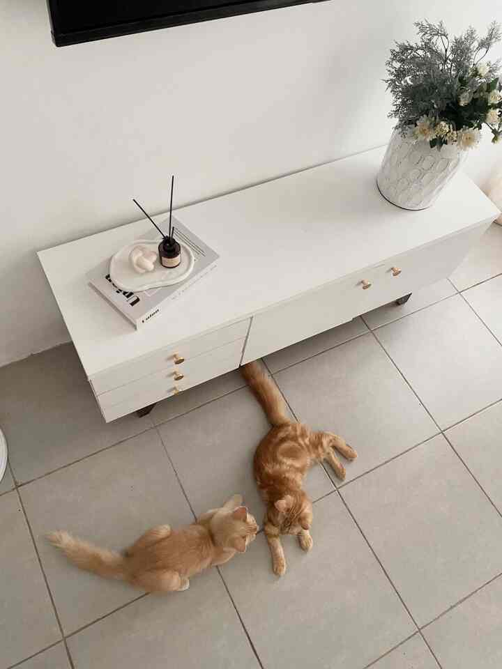 • Cara Membuat Ruangan Kecil Tetap Terasa Luas •

Punya ruangan dengan luas terbatas itu salah satu tantangan untuk aku, apalagi kalau hobi jajan perintilan dekorasi rumah 🫣

Contohnya living room di Livingwithnas ini, luas ruangannya hanya sekitar 3 x 4m aja. Terus gimana sih caranya supaya tetap terasa luas?

1. Pemilihan warna, disarankan supaya memilih warna nuansa soft, netral atau terang contohnya seperti warna putih, beige, cream, sage.

2. Perhatikan penempatan dekorasi, pada ruangan dengan luas terbatas sebaiknya jangan terlalu banyak barang terutama barang dekoratif yang diletakan di lantai. Disarankan barang yang sifatnya dekoratif diletakan diambalan.

3. Hindari memberi wallpanel atau moulding pada setiap sisi, sebaiknya 1-2 sisi dinding aja agar tetap terkesan luas.

4. Pemilihan furniture, sebaiknya gunakan furniture yang multifungsi supaya lebih hemat space 😊

#tipsrumah #lahanterbatas #tinylivingroom #minimalistlivingroom #livingroominspo