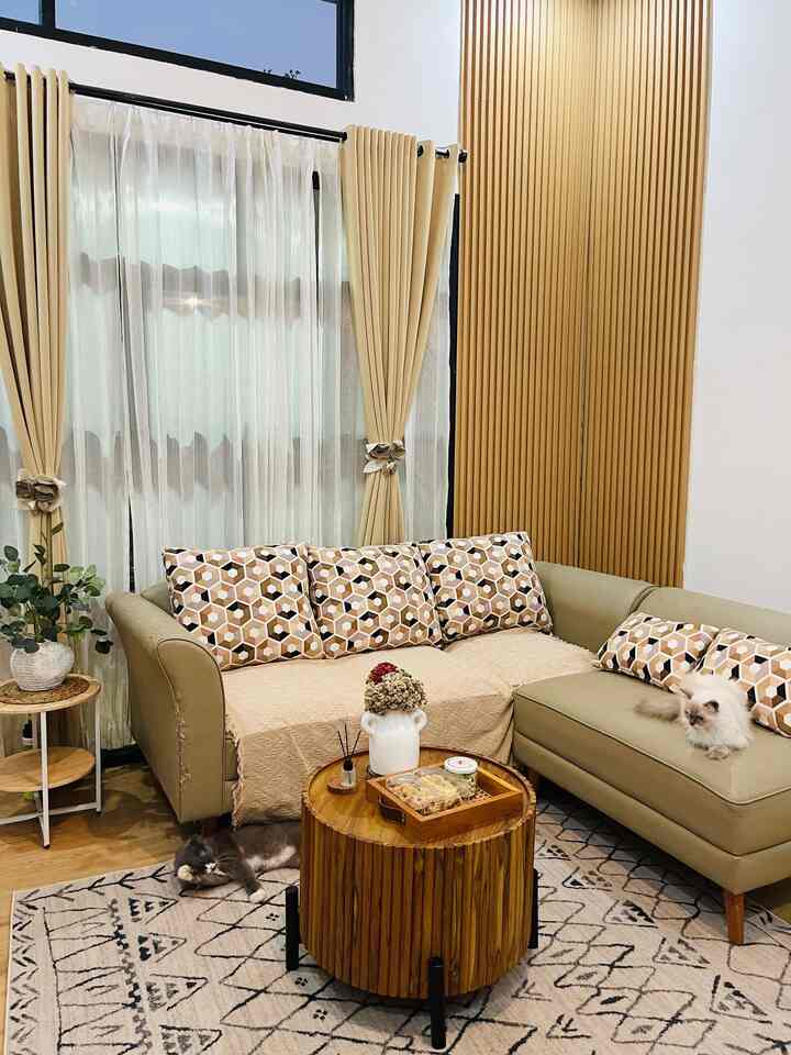 Beige and wood-toned living room featuring patterned cushions on sofa with two relaxed cats creating a cozy atmosphere