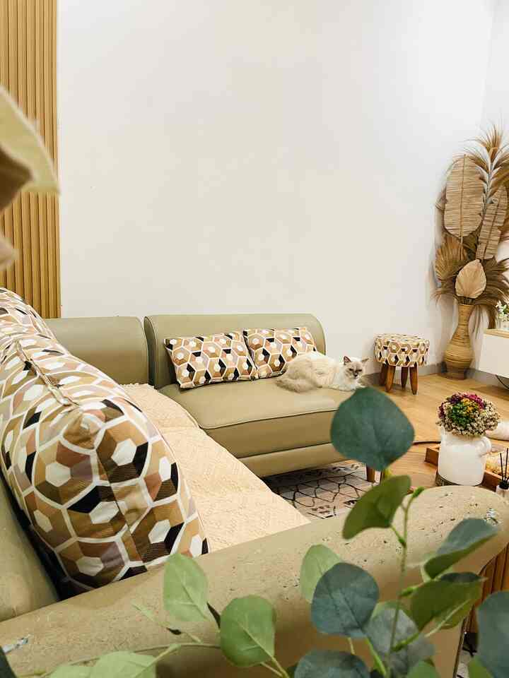 Ruang Tamu aku yanh menjadi tempat favorite aku dan suami, karena di sini juga sekaligus ruang tv dan kumpul keluarga, bahkan anabul anabul ku suka pada di ruang tamu juga 😍
#ruangtamu
#ruangtamuidaman
#rumahcluster
#bogor
#ruangtv
#lampuestetik
#mejakayujati