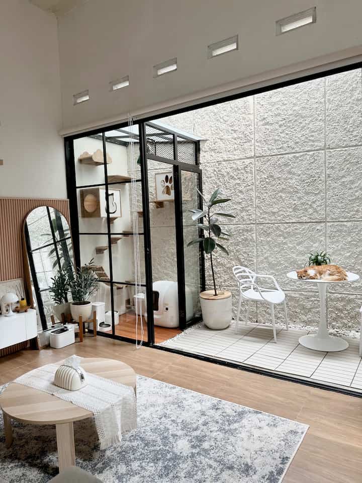 White and wood tone living room and terrace featuring a cat, pet furniture, and a modern natural interior