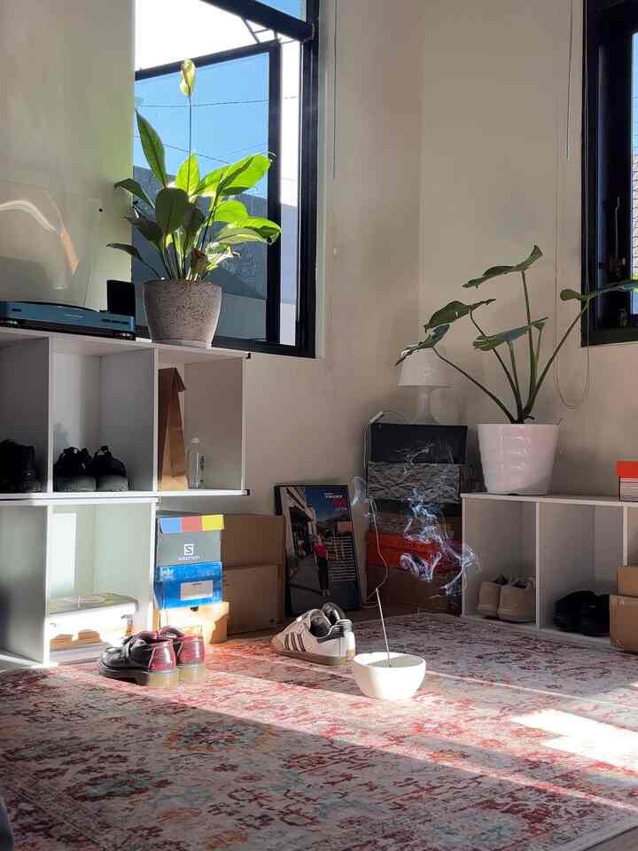 White and brown toned small entrance space featuring carpet, plants, and shoe storage shelves creating a warm atmosphere