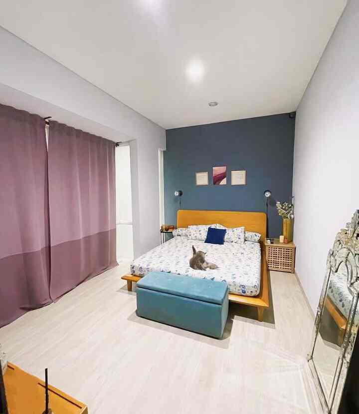 Modern bedroom with lavender curtains and blue accent wall, featuring a cat sitting in the center of the bed