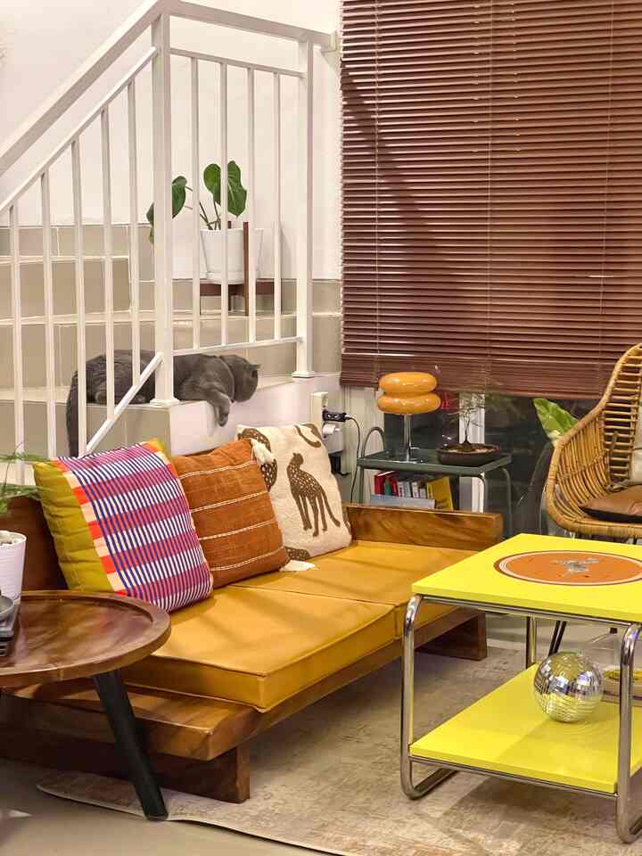 Yellow and wood tone living room featuring sofa, coffee table, and a cat creating a cozy atmosphere