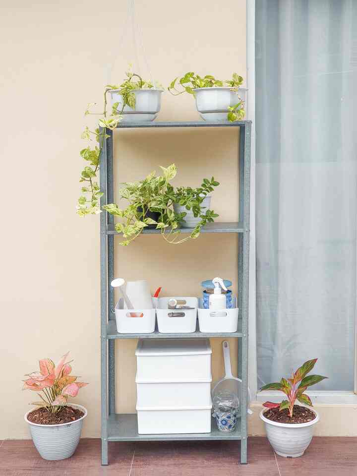 Bagian samping rumah yg belum di renov. Isinya rak tanaman dan perlengkapan gardening.

#rumahdeveloper #JKTBarat #tinyhome #lowbudgethomedecor #rumahttanpaarsitek