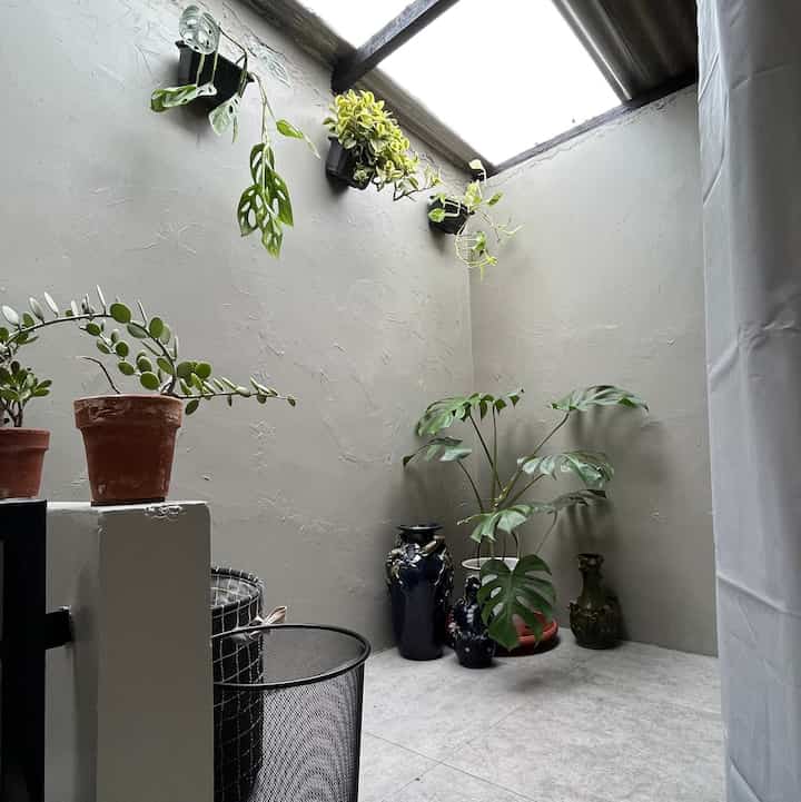 Masih bagian dari kamar atap ada area kamar mandi terbuka yang aku jadiin sebagian buat area tanaman dan area penyimpanan baju kotor. Next aku bakal rapihin area ini 😊


#minimalist
#kostdecorinspo
#koststyles
#roomdecor
#kamaraesthetic