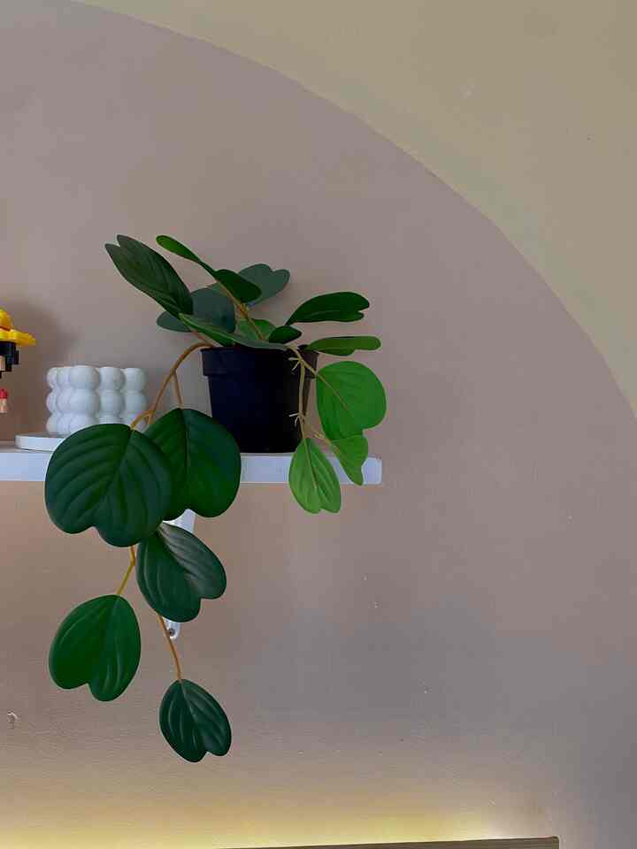 Best view in my home 🤍✨
Printilannya serba murehh semua 😁

#AsramaBrimob
#RumahRantau
#Pontianak
#BestView
#InspirasiRumahDinas
#Rumahminimalist
#Rumahopenspace