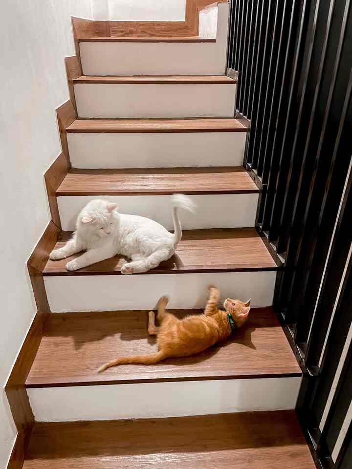 This is the @diemdibumi staircase to the 2nd floor. For this #tangga we used a wood colored taco floor and also a stair railing made of holo iron. This staircase can be said to be very safe for children ( #kidsfriendly ) and also parents. Because the stair railing here is made full ceiling. Hopefully it can be an inspiration for everyone. #inspirasitanggarumah #inspirasitangga #homedecor #stairs #tanggarumah #stairsinspo #stairsinspirations