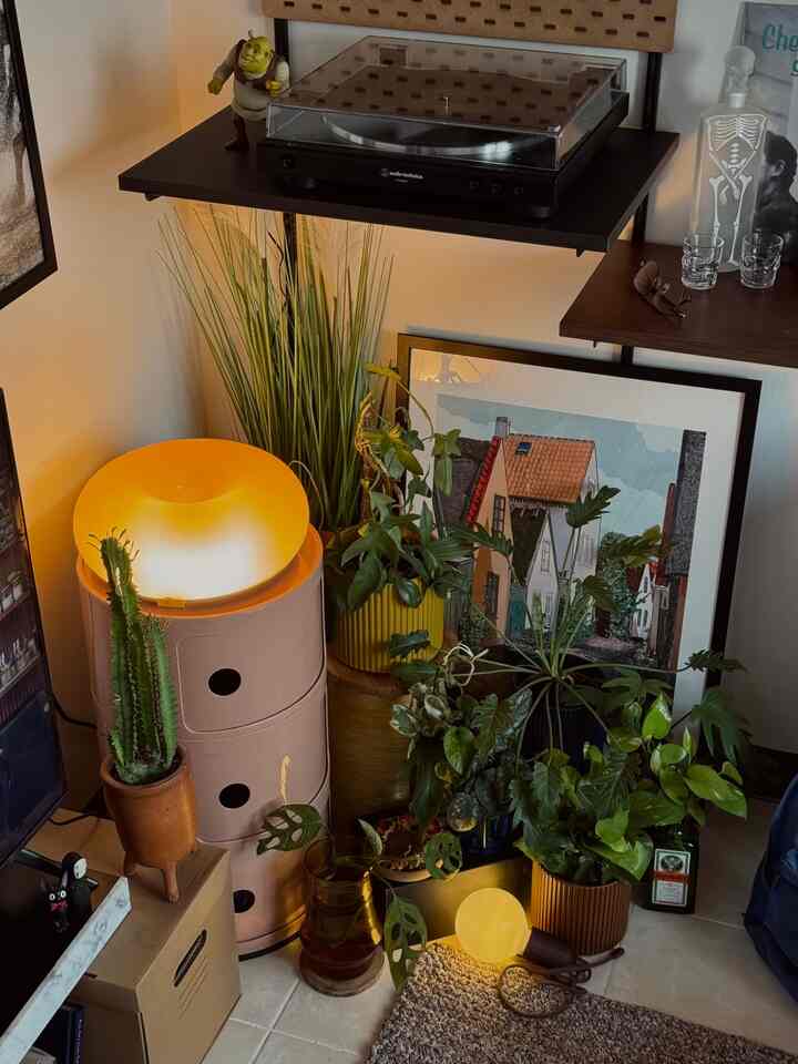 Pojok hijau di sudut kamar. Biar ketika bangun tidur bisa melihat yg hijau hijau.. posisi ini tepat dibawah rak dinding dan disamping TV.

#minigarden #bedroomplant #selasarapt #midcenturymodern #dekorasi #smallapartment #kamarcowok