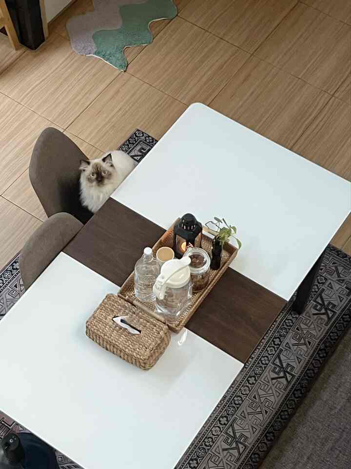 Natural brown-tone floor living space featuring a white and brown dining table with a cat seated on a chair, creating a cozy atmosphere