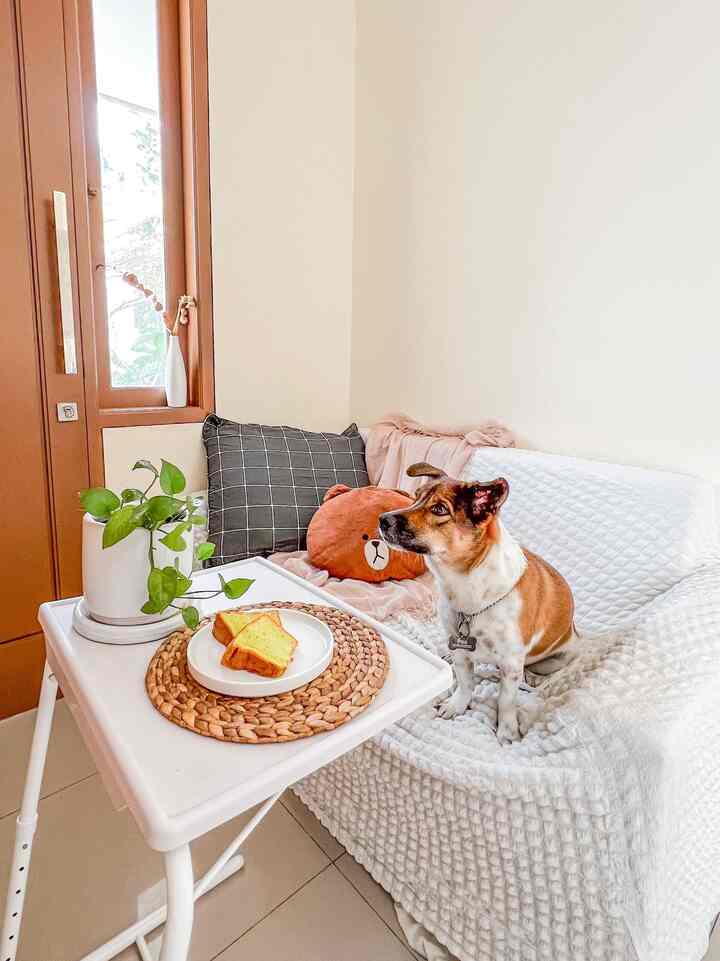 Mendecor living room biar ada variasi, bisa juga memakai tambahan scarf, ga cuma pakai throw blanket. Apalagi kalau cover sofa sudah cukup bulky. Living room di bearylion cukup sempit dan terbatas untuk ditaro meja, bisa diakalin dengan pakai meja portable, bisa buat kerja, bisa buat santai snack time sambil cuddling dengan anabul.

#livingroomstyling #dekorasilivingroom #livingroommakeover #rumahdeveloper #JKTBarat 