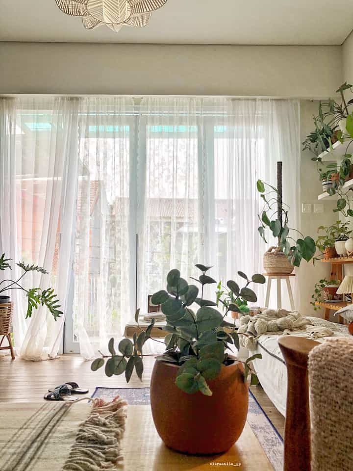 halo sinar matahari!
menyambut pagi dari jendela kaca besar. Suasana sempurna untuk memulai mode bekerja dari rumah yang produktif 😄

#bohoscandi #cozyhome #decorlowbudget #jakartabarat #decorinspiration #styling 