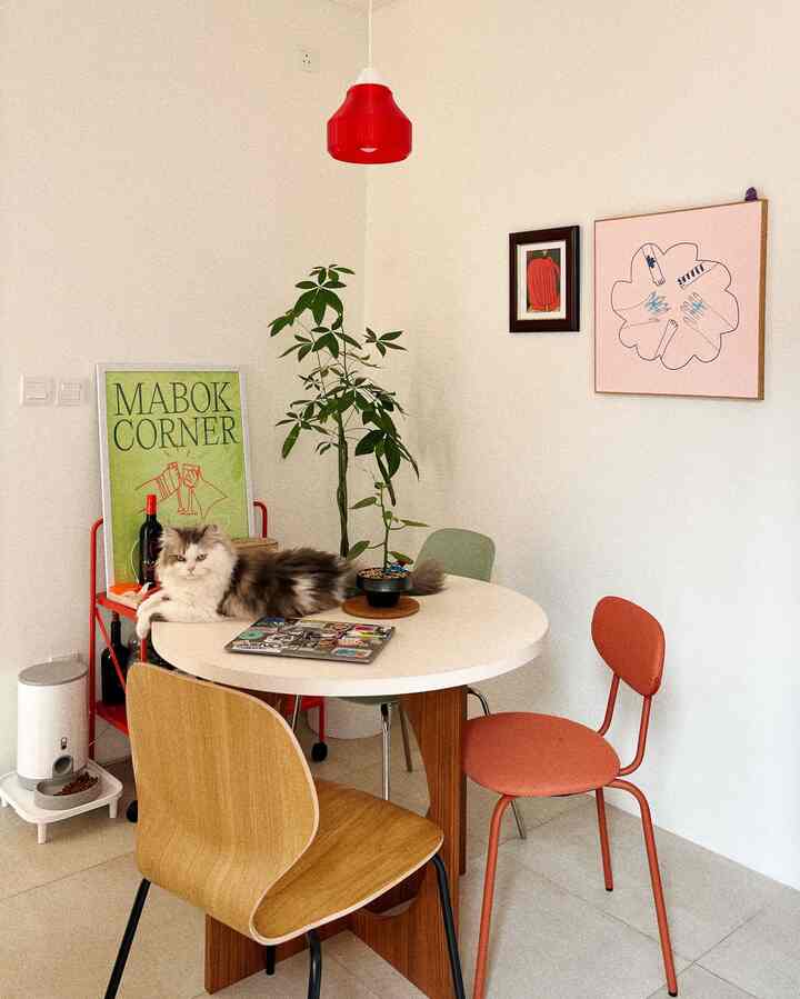 Anabul-anabul yang bikin rumah sederhana jadi tempat untuk pulang 🐱
#housecats #homedecorinspo #diningroom #backyard #homestyles #modernmidcentury