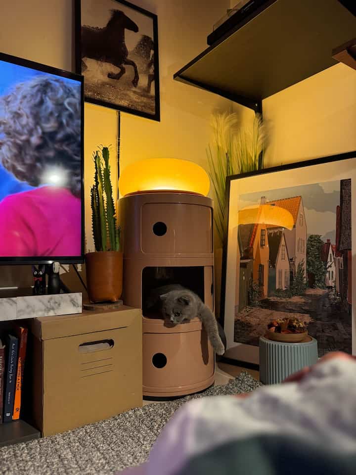 Ternyata bisa loh anabul punya pojok estetik juga, malah jadi tempat favorite dia 😄. Kadang suka cosplay jadi patung seakan2 bagian dari pajangan. 
Tipsnya : pilih tempat makanan dengan warna dan bentuk yg menarik, sandingkan dengan element pendukung, saya menaruh artwork sebagai background dari nongkrongnya anabul,, btw Halloo ini himi 🐈‍⬛

#anabul
#catcorner
#selasarapt
#catroom
#tinyapartment
#tipsestetik
#pojokestetik