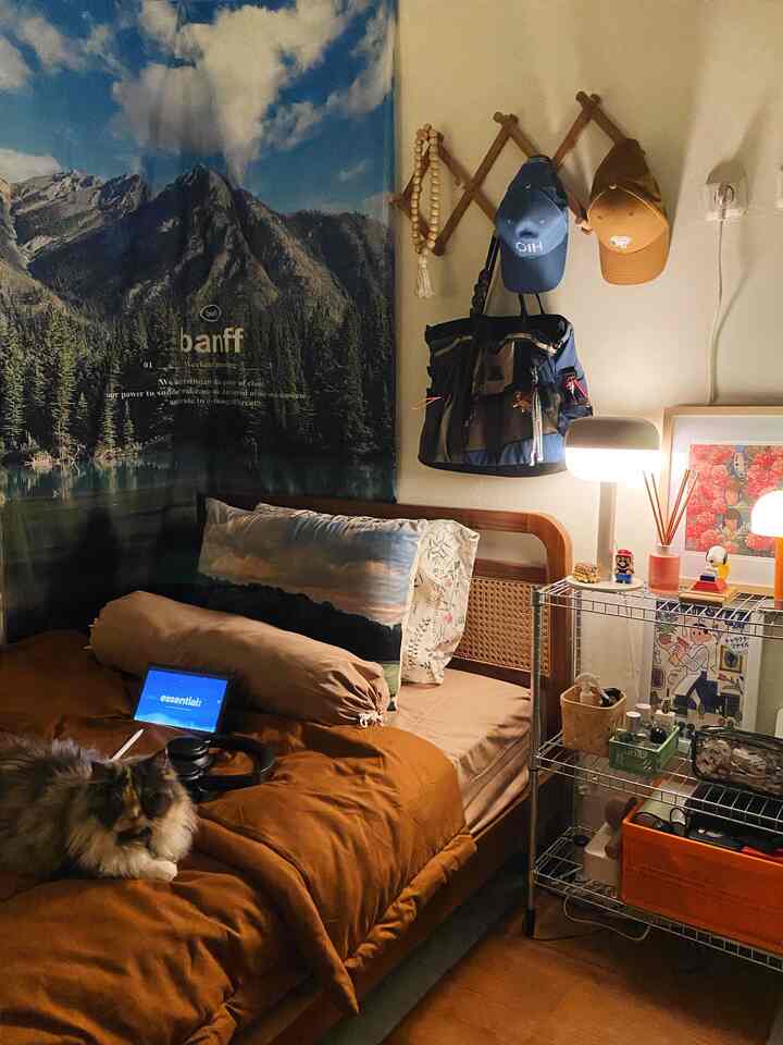 Cozy bedroom with orange bedding and wood tone bed frame, cat sitting on bed, warm table lamp lighting