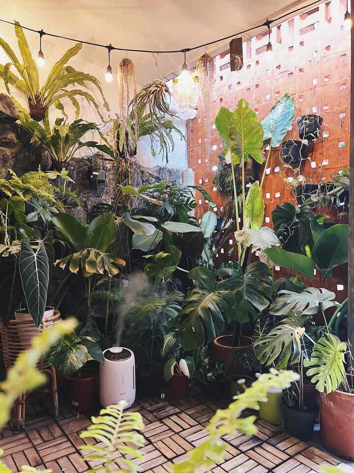 Halo Tetangga Kimkim 👋🏻

Ini adalah ruang anak hijau di area depan teras rumah. Area anak hijau ini merupakan semi outdoor.
Karena sama menyukai tanaman, jadi sy manfaatkan lahan sekitar 2x2m untuk memajang koleksi tanaman saya.

Untuk lantainya menggunakan deck kayu jati. Biasanya seminggu 2x saya menyiram tanaman ini dengan sistem kocor yaitu menyiram tanaman pada medianya sampai airnya keluar lg dari bagian bawah pot.

Area ini jg saya gunakan untuk tempat berolahraga, seperti yoga / workout simple.

#StylingTaman
#TerasRumah
#DekorasiTaman
#AnakHijau
#InspirasiTaman
#TanamanHijau
#monstera
#monvar
#airhumidifier