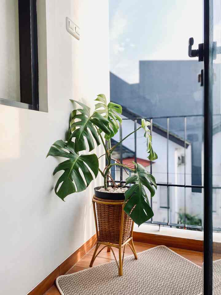 Beberapa barang dekorasi di rumah ini terbilang cukup affordable, estetik gak harus mahal kan?☺️

• Pada mini balcon, agar tidak menoton kami letakkan 1 pot tanaman monstera dengan pot keranjang rotan yang harganya under 100k. Begitu juga dengan keset estetik ukuran 50x80 cm ini harganya sangat murah dibawah 50k

• Agar tidak terlalu sepi, area belokan tangga kami tambahkan sedikit dekorasi tanaman artificial ketapang biola yang harganya under 100k. Pot terakota tinggi ini harganya hanya 127k.
Kami juga menutup kotak MBC dengan 1 wall art, agar terlihat lepih rapih dan estetik

• Di Laundry room, item dekorasi juga terbilang sangat affordable. Tanaman artificial fejka dengan harga 20k-100k ini membuat area ini jadi lebih segar. Rak putih yang berfungsi untuk meletakkan kebutuhan laundry ini harganya hanya 40k, sangat murah namun fungsional dan estetik sehingga jadi lebih rapih

• Dengan harga under 100k, Table runner warna beige ini membuat diningset jadi lebih hangat. Ditambah 1 tanaman artificial ikea fejka yang juga under 100k, diningset terlihat lebih cantik

#DekorBudgetFriendly #EstetikMurah #SpillDecorLowBudget #DekorasiMurah #InspirasiDekorasi #RumahMinimalis #Mezzanine #homeinspo

