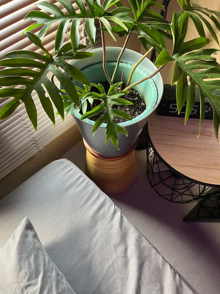 Sebetulnya (slide1&2) ini adalah tempat sampah lipat dari ataru, tapi dengan desainnya yang bermotif kayu tempat sampah ini bisa juga dijadikan sebagai meja dengan ditambahkan piring kayu. Dan untuk (slide 3&4) kursi warna kuning ini sebetulnya children's chair yang juga bisa untuk standing pot/lamp. Keduanya salah satu item yang budget friendly juga loh dan terpenting fungsional 🥰🫶🏻

#DekorBudgetFriendly
#EstetikMurah
#SpillDecorLowBudget