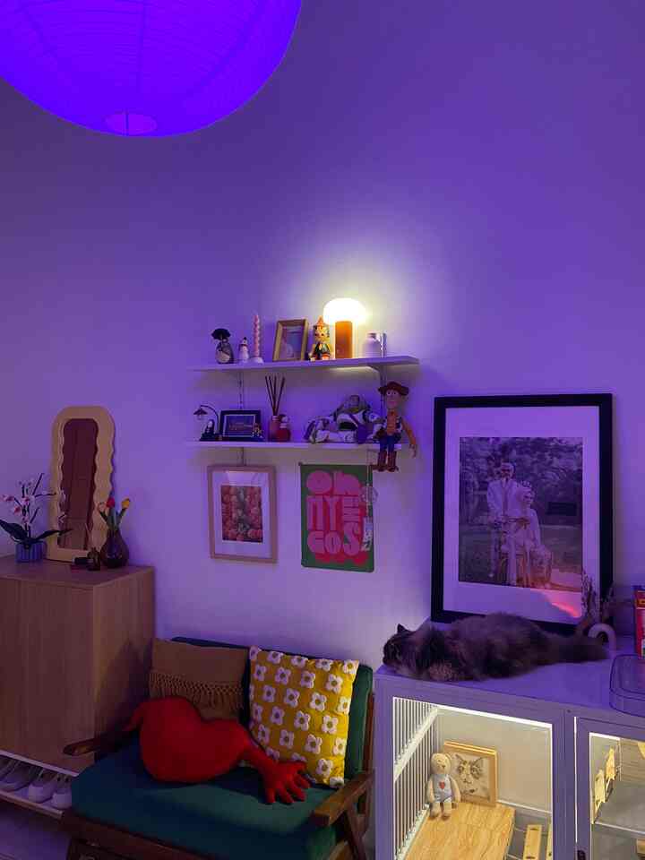 Area ini sebenernya masih jadi bagian dari living room tapi pada sudut ini kami jadikan tempat bersantai sekaligus tempat untuk menaruh “kamar” anabul dan barang koleksi 🐈

Karena space rumah kami yang masih terbatas terpaksa kami sementara waktu menatanya sedemikian rupa 💫

Meski terlihat penuh tapi bagi kami space ini menciptakan suasana yang hangat. Karena jadi tempat bersantai dan bermain bersama anabul 😽

Tentu kebersihan ruangan jadi concern kami, sebab living room adalah main area yang cukup krusial fungsinya; tempat bersantai bersama keluarga maupun menerima tamu ✨

#petparent #midcenturymodern #artdeco #livingroom #rumahdeveloper #depok 