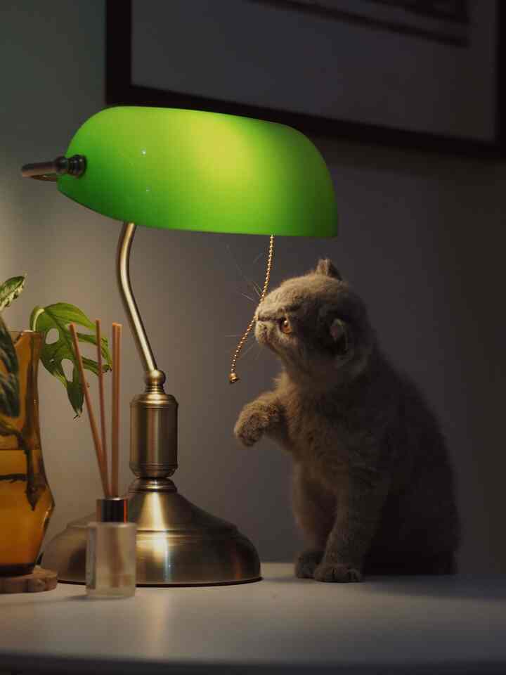 Want to add a little light to raise the mood of the room ☺️ the night atmosphere becomes more cozy and warm
#warmlight
#sunsetlamp
#Tuesdayrapt
#nightvibes
#tinyaapartment
#roomdecor
#Apartmentdecor