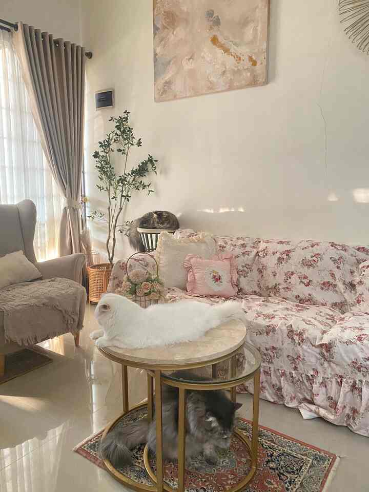 Pas banget cahaya natural lagi bagus banget bisa masuk ke dalam ruang tamuku. Disinu aku memanfaatkan ruang pojok sempit antara single sofa dan sofa 3 dudukan sofaku dengan tanaman artifisial dan 1 stool seharusnya buat tanaman tapi anabulku suka sekali tidur disitu jadi mau gamau aku mengalah sama anabul-anabulku. disitu juga aku taruh tempat payung. 



#SudutRuangSempit #PojokSempit #DekorasiPojokSempit
