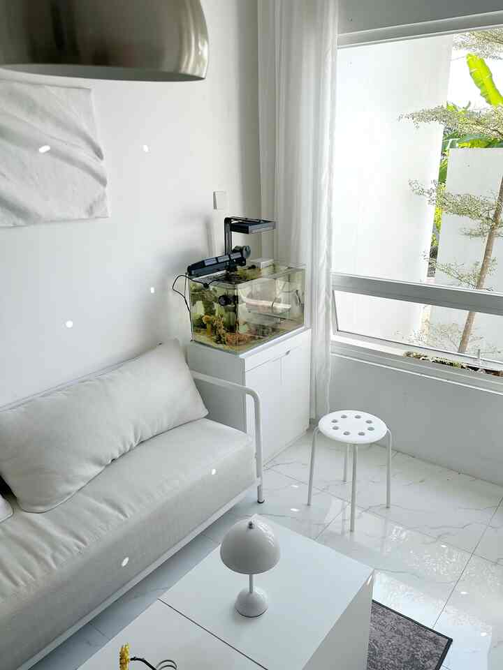 Dekorasi Pojok Sempit 👀
-
Pojok Angka House diisi kehidupan air laut yaitu aquarium air laut yang berukuran 60 cm, kita letakan disudut dekat jendela agar ikan dan trumbu karang sehat setiap hari menatap matahari langsung. Untuk spesifikasi detailsnya klik tombol (+) 

#SudutRuanganSempit #PojokSempit #DekorasiPojokSempit #homedecor #minimalist #reeftank #aquarium #dekorasi #angkahouse