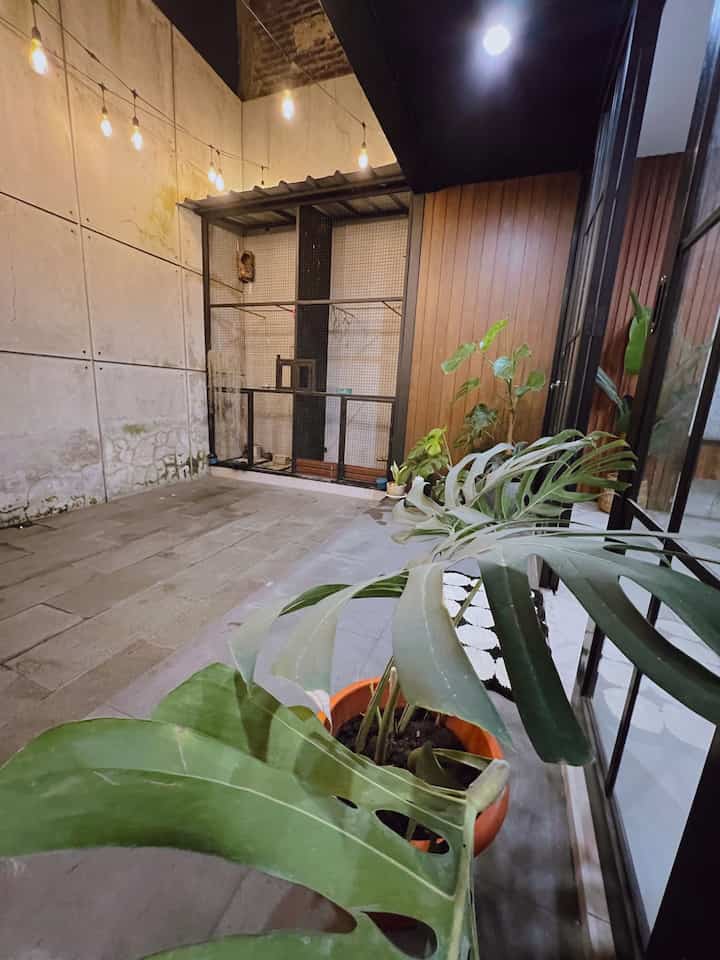 .Kamar Favorit.

Sebenarnya semua ruangan di rumah itu favorit kami menurut kami 😁
Tapi salah satu favorit kami adalah taman belakang ini,,
Taman belakang ini adalah keputusan terbaik kami saat merenovasi rumah,,
Bisa sebagai sumber penerangan, sirkulasi udara, tempat bermain anak, taman mini, tempat sangkar burung, bisa juga sebagai spot foto,,
Sangkar burung ini adalah favorit suami saya, sehingga menjadi ruang penyembuhan bagi suami saya.


#Ruang Favorit
#Hal Favorit
#TumpahanBarangFavorit
#TamanBelakang
#Sangkar
#Inspirasi Taman

