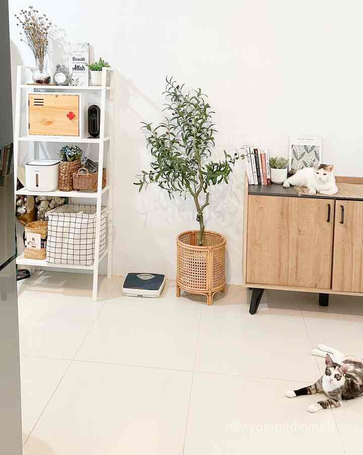 Bright natural-toned living room featuring wooden cabinet, potted plant, and two cats in a cozy atmosphere