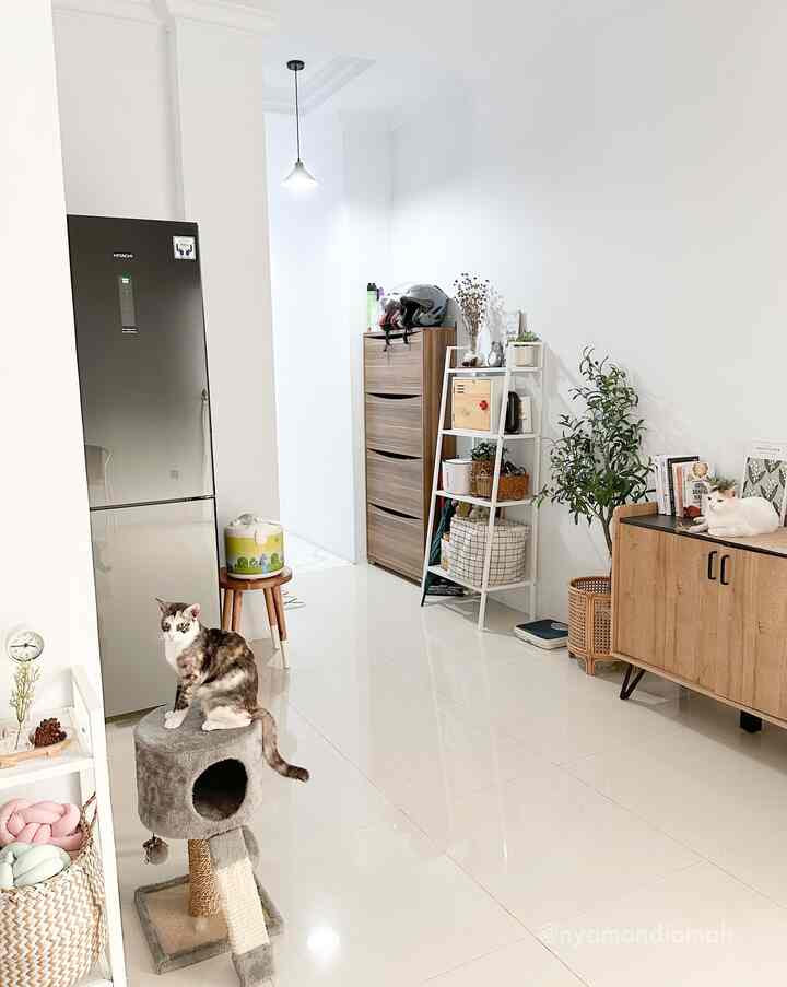 The corner before the corridor leading to the bedroom door becomes a room that can be used to place several shelves, namely a shoe rack, IKEA white shelves, and also cupboards arranged parallel. So that it doesn't look too crowded, they are spaced and placed with artificial olive plants with rattan pot covers as decoration. Apart from that, the empty space next to the shelf can also be used to place body scales.

#comfortablehome #SudutRuanganSempit #PojokSempit #DekorasiPojokSempit #homestyling #raksepatu #catlovers #CloudyTheCat