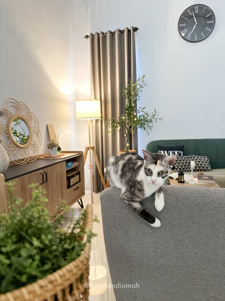 In this photo, is the lighting more interesting or the cat? 👀✨ #CloudyTheCat 🐈

Lighting in a room, such as a living room, is quite important. For example, the standing lamp from IKEA is not only used as a light in the corner of the room, but also as a mainstay decoration that makes the corner of the living room look more alive💡✨ The color of the lamp chosen is warm white so the light displayed is not too bright, so it doesn't cause damage to the eyes. because the light is sufficient & warm but not excessive.

What about the lighting in your house?

#comfortablehome #LampuRumah #InspirasiLampu #SpillLampuEstetik #livingroom #livingroomdecor #livingroominspo #catlovers
