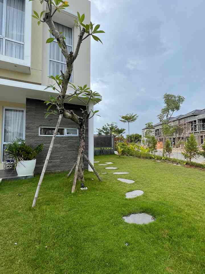 Rumah ini memeliki luas tanah yang cuku lumayan untuk menanam tumbuhan seperti bunga2 dan ini beberap tanaman dirumah saya dari mulai depan dan halaman belakang 🥰


#halamanluas 
#tanaman
#bunga 
#kambojafosil
#batam 
#rumahdeveloper 
#rumahkusurgaku 
#rumahsederhana