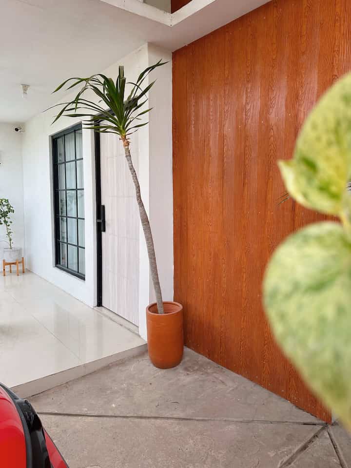 Fasad Rumah🏡

Perpaduan warna putih dan aksen kayu memberi kesan terang dan hangat pada rumah. Di sini kami tidak menggunakan kayu asli, tapi menggunakan wood plank yang tahan cuaca hujan maupun panas. 
Tanaman hijau juga membuat rumah lebih fresh. Sepertinya kami perlu nambahin anak hijau lebih banyak lagi nih biar makin seger 🍃🌱 

#RumahDeveloper #RumahSederhana #FasadRumah #Woodplank #Bogor #InspirasiRumahMungil
