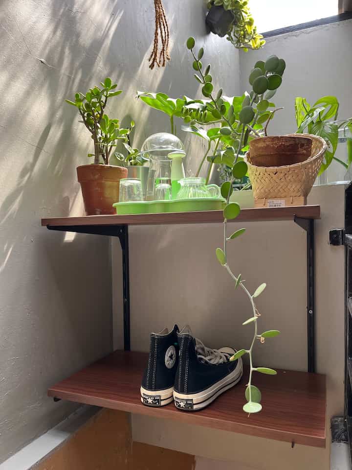 Bagian luar kamar atap memiliki area tangga yang bagian atasnya dimanfaatkan sebagai wardrobe ala-ala. Karena area yg sangat terbatas, rak susun ini sangat multifungsi dan bisa digunakan sebagai rak sepatu maupun penyimpanan lainnya, juga menambah kesan dekoratif. Penambahan tanaman hijau juga memberikan kesan segar dan alami pada bagian area ini. 

#LittleGarden #MiniGarden #IdeGarden #IdeDekorasiKamar #WardRobe #Raksusun #IdeRaksusun 