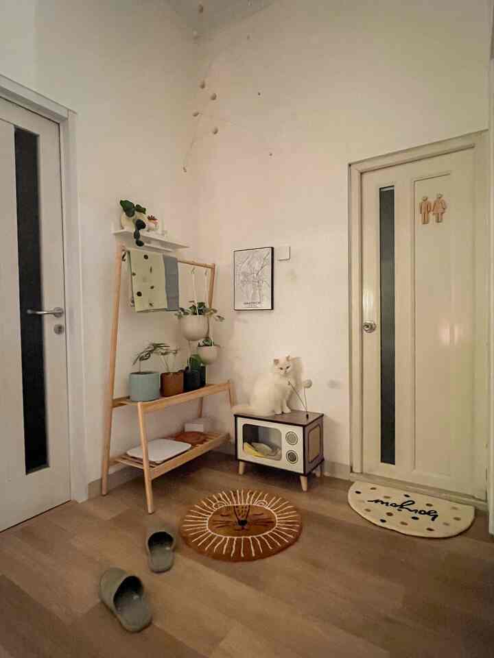 Ivory and wood-toned small corner space featuring plant shelves and TV-shaped cat pet house, creating a natural and cozy atmosphere
