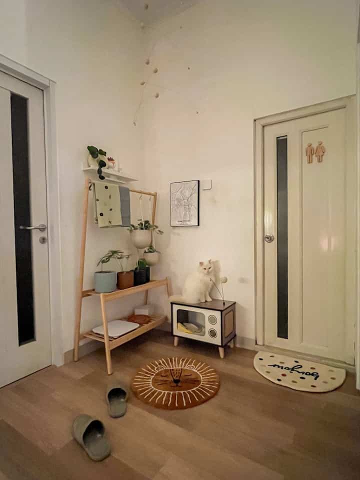 Pojokan favoritnya Puyo 😍 #mat #pojokfavorit #sudut #lahanterbatas #japandi #ikea #daksjus #cats 