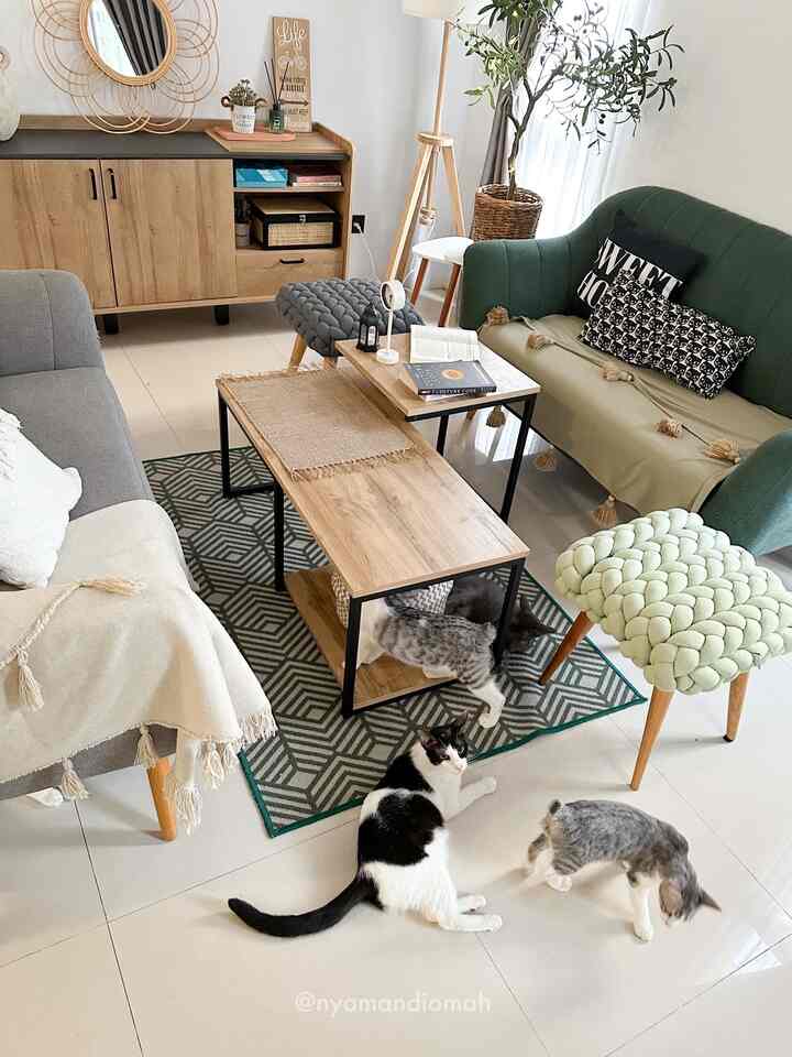 Home filled with beloved cats 🩵

#nyamandiomah #catlovers #cathome #livingroomdecor #livingroominspo #livingroomstyling #scandinavian 