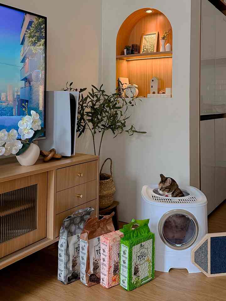 Cozy small living room with wood-tone floor and white walls, featuring a TV stand, plant, and a cat sitting in a white litter box
