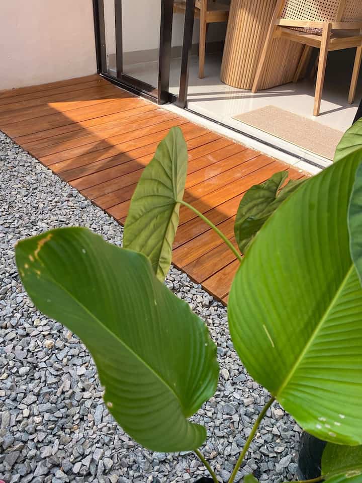 #backyard #tamanbelakang #ispirasitamanbelakang #taman #tamandalamrumah

Back yard di rumah rumi ukurannya 3x3 dengan konsep taman kering. Taman ini sengaja di bikin tanpa atap dan tanpa coran karna sekaligus berfungsi sebagai area resapan air hujan.

Cara aku bikin taman kering ini dengan melapisi tanah dengan pasir, kemudian di alas paranet dan terakhir di atasnya batu belah.

Oia di area ini juga ada sumur yang sengaja di tutup dan di bikin rata tanah. Juga ada beberapa tumbuhan hijau dan sebagian aku pasang decking kayu bengkirai agar semakin terlihat estetik.