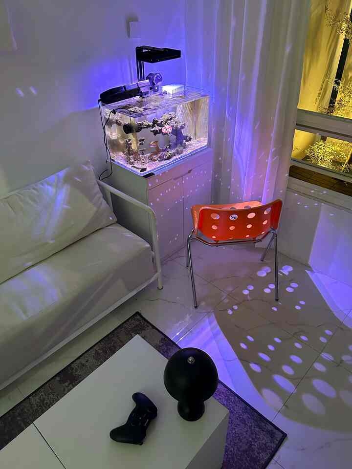 Evening at Favorite Corner ✨😍
-
We like the night atmosphere near the big window because the wind that comes in is very cool and sometimes makes us fall asleep. The activities we usually do at night are watching fish, playing games together, does anyone play this game too? 


#FavoriteTimeAtHome #SantaiDiRumah #RuanganFavorit #livingroom #sudutrumah #minimalist #fun #goodvibes #angkahouse