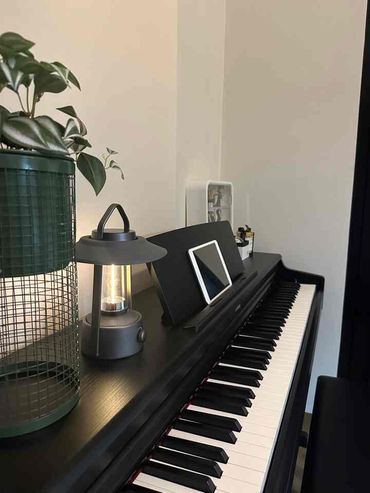 • Favorite Moment •

Hello, O!House friends, momen favoritku adalah ketika sempat bermain piano di sela kesibukan yang padat. Di foto ini anakku in frame karena kadang mereka juga ingin ikut bermain meskipun belum bisa. 

#WaktuFavoritDiRumah
#SantaiDiRumah
#RuanganFavorit
#favoritemoment
#playingpiano
