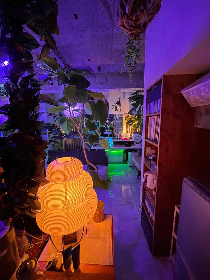 Blue and orange toned studio apartment featuring large plants and a Japanese-style floor lamp with an atmospheric interior