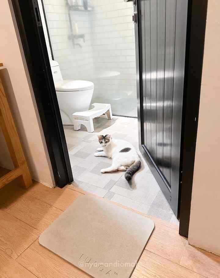 White and gray toned restroom featuring a cat lying on the floor, with a bath mat and toilet arranged in a cozy setting