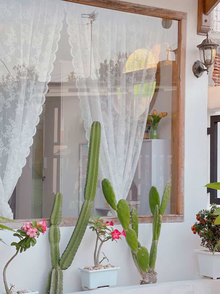 Tanaman minimalis 

Dihalaman rumah hanya ada tanaman minimalis saja aku hanya menanam kaktus kamboja jepang bunga aster asparagus & kamboja bali 
Aku pilih tanaman tersebut yang tidak ribet untuk perawatannya sebenarnya ringan sih hanya rajin nyiram dan motong tanaman yang sudah kering 
Nah aku punya tips nih kalian yang tim siram2 pakai selang wajib punya gantungan selang seperti ini selang pun auto rapi enak dipandang 

#halaman
#tanaman
#garden
#bunga 
#home
#selangair
#kebun