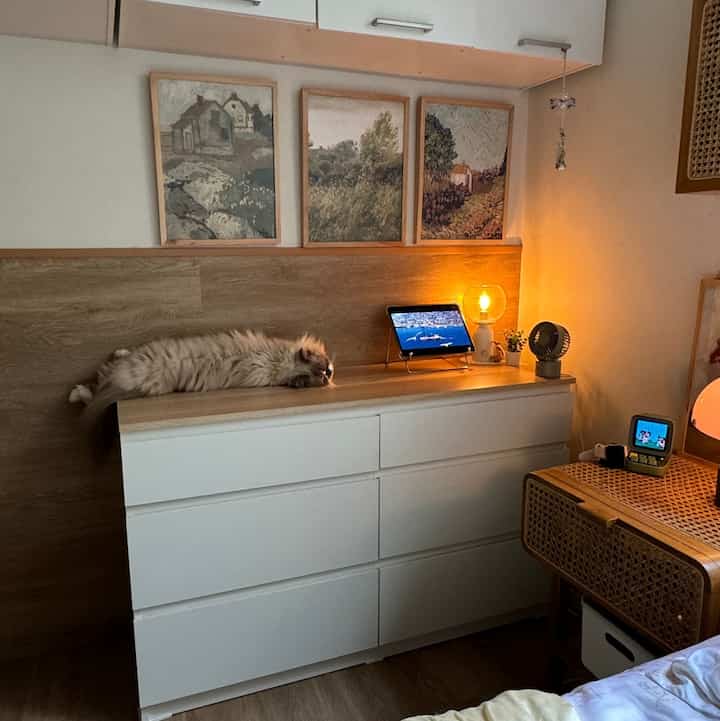 Tampilan terbaru di bedroom utama. Ada tambahan drawer bikin look lebih rapih soalnya smuanya ketutup.

#kylehome #storage #drawer #bedroom #cats #kamardeveloper #kamartidur 