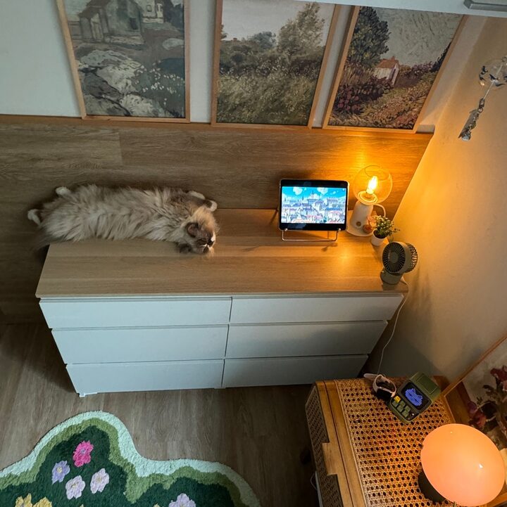 short form carousel card thumbnail